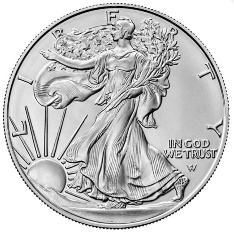 2024 American Eagle 1oz Silver Coin BullionByPost From £40.44
